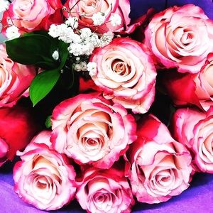 To All My Followers and Upcoming new followers.🤩